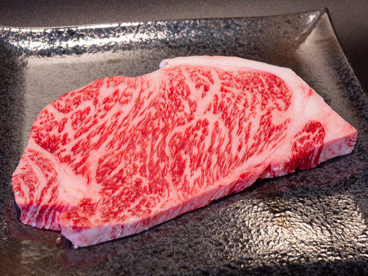 A5 Miyaki - Ryggbiff