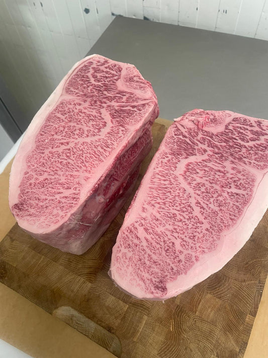 A5 Miyaki Ryggbiff (BMS 9-12)