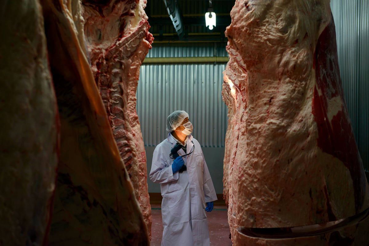 Handplockat av mästare