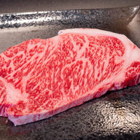 A5 Miyazaki - Ryggbiff